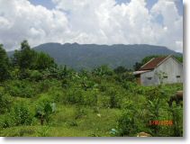 West of GIA VUC BA VI.jpg